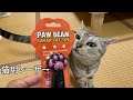 【猫おもちゃ】PAW BEAM LASERのレビュー