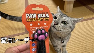 【猫おもちゃ】PAW BEAM LASERのレビュー
