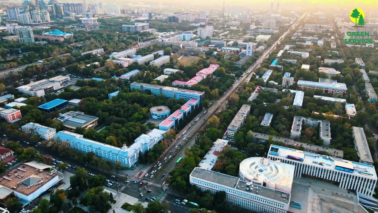 Давайте знакомится! Питомник Green Service приветствует вас!