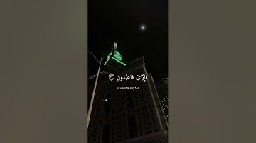 ﴿ يَا عبادِي الذِين آمنُوا إِن ارضِي وَاسِعَة ﴾ سوره العنكبوت، عبدالرحمن مسعد #ارح قلبك #قران كريم