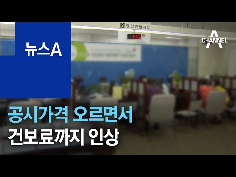 “<strong>연금으로</strong> 사는데”…공시가격 오르면서 건보료까지 인상 | 뉴스A