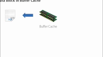 05 06 Autotrace Introduction