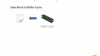05 06 Autotrace Introduction