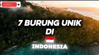 Download Lagu Dijamin Takjub! Inilah 7 Burung Paling Langka yang Masih Ada di Indonesia\ MP3