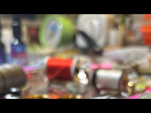 Florida Woman - Jaime Lyn is live!