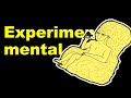 Experimentos mentales ¿Qué es un experimento mental?