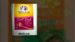 Wellness Puppy Food Tips