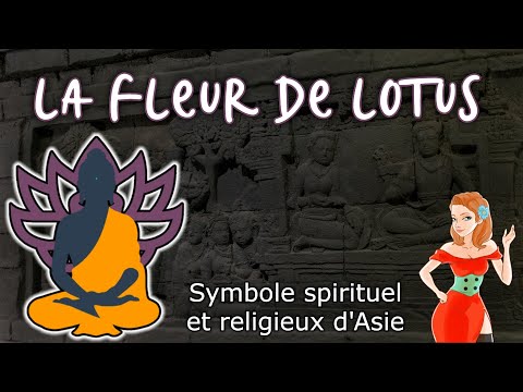 La FLEUR DE LOTUS et ses grands leçons (Symbole Asiatique)
