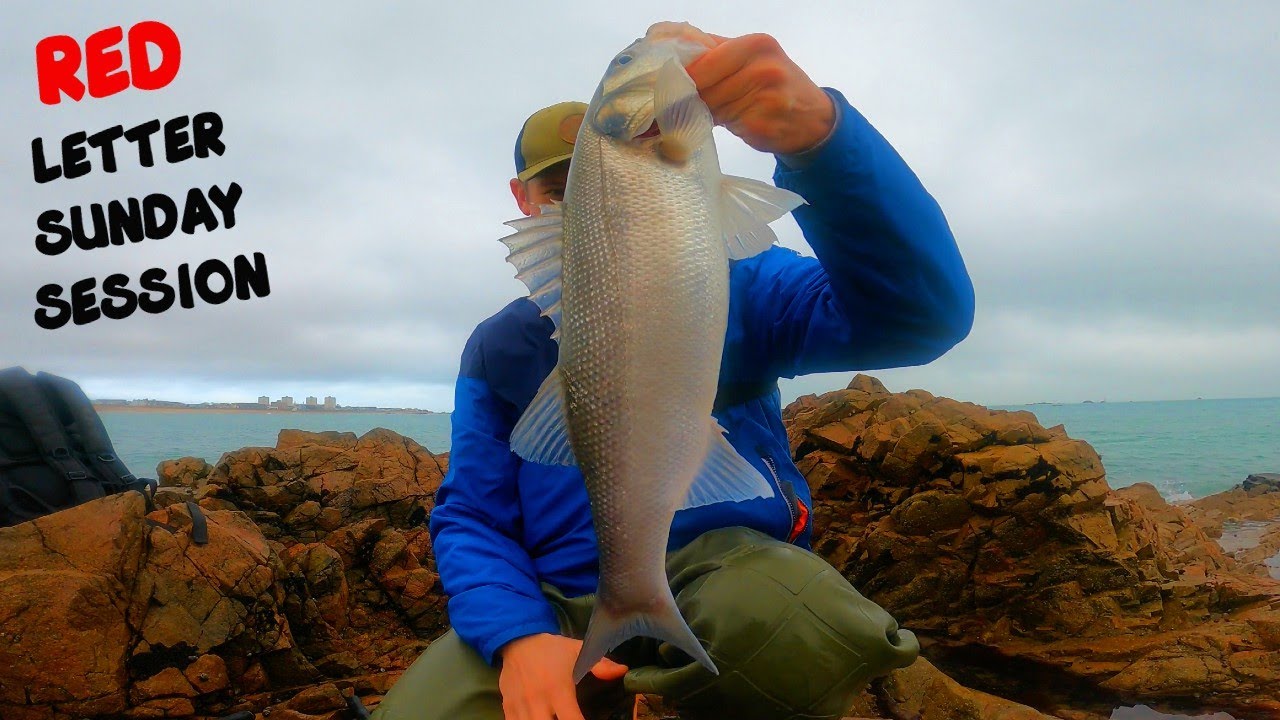 None Stop ACTION from Start to Finish – ONE LURE brings the BASS on the BITE! pesca Robalo