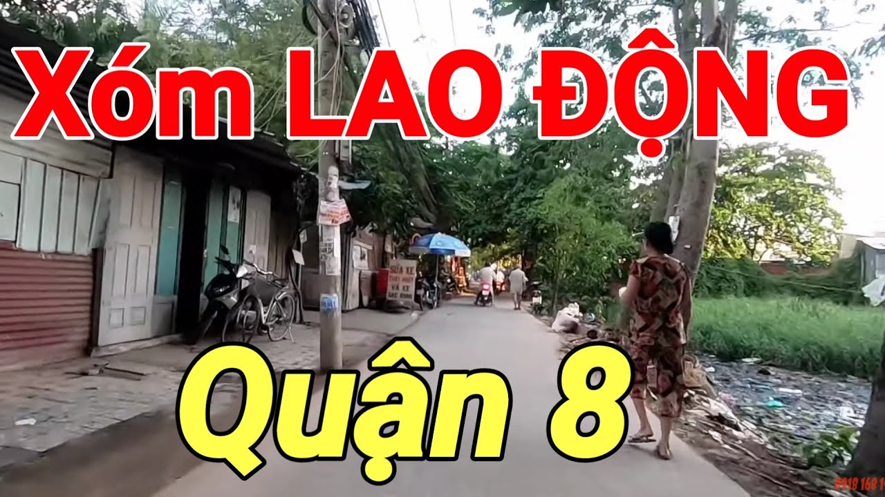 quận 8 có bao nhiêu phường Update 2022 Lạc Trôi vào Hẻm Đường Tạ Quang Bữu - Cao Lỗ Quận 8 Sài Gòn