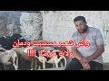 جمعية مربي سلالة الدمان إجابات عن تساؤلاتكم mp3
