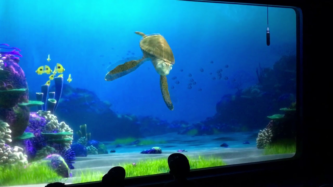 【アメリカ版】タートルトーク Turtle Talk with Crush@California Adventure