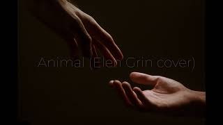 Chase Holfelder - Animal (Elen Grin cover)