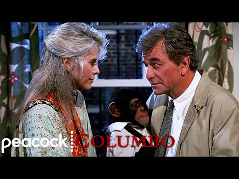 Video: Satu Hal Lagi: Merencanakan Kesamaan Antara Columbo Dan Hitman