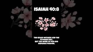 Todays Bible Verse 30