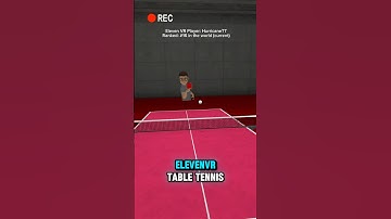 Facing Top 20 in the World Eleven VR Table Tennis Player - HurricaneTT #elevenvr #eleventabletennis
