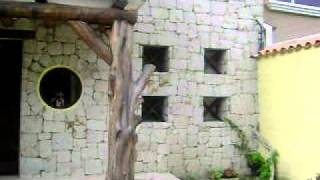 CASA CDLA INGENIEROS 1