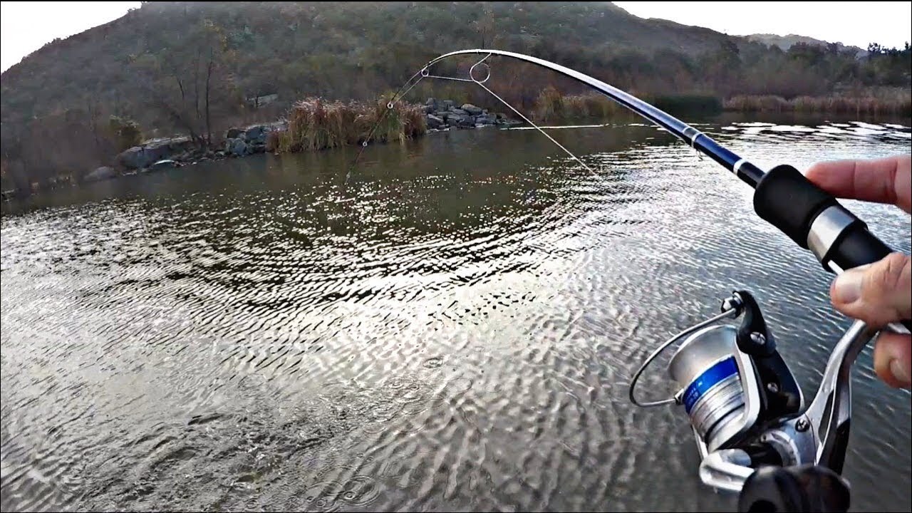 I got my limit of trout at a new lake/ft troutmade YouTube