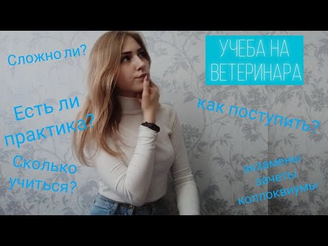 Учеба на ветеринара/ОТВЕТЫ НА ВОПРОСЫ