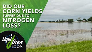 When to Time Your Nitrogen Application