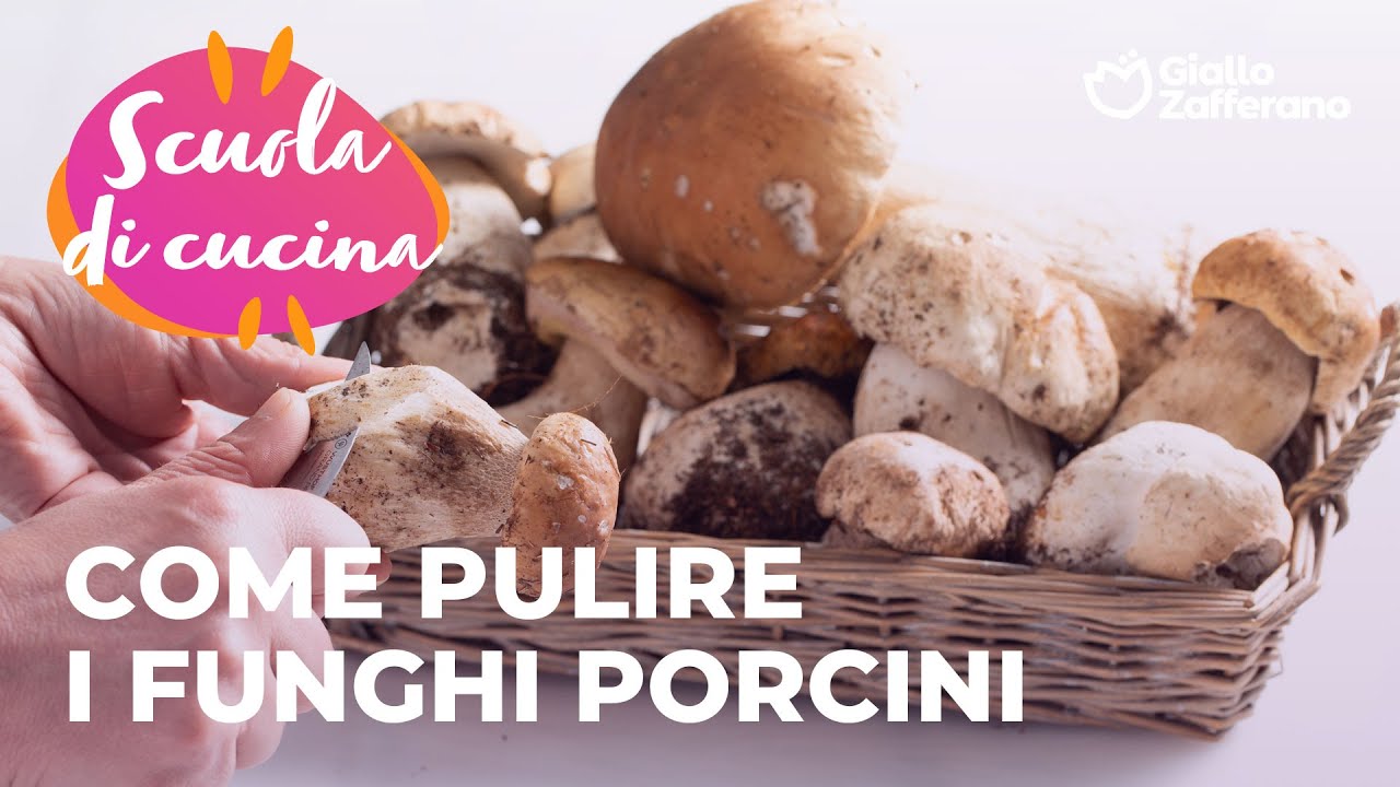 COME PULIRE I FUNGHI PORCINI a SCUOLA di CUCINA con GZ🤓🤤 YouTube