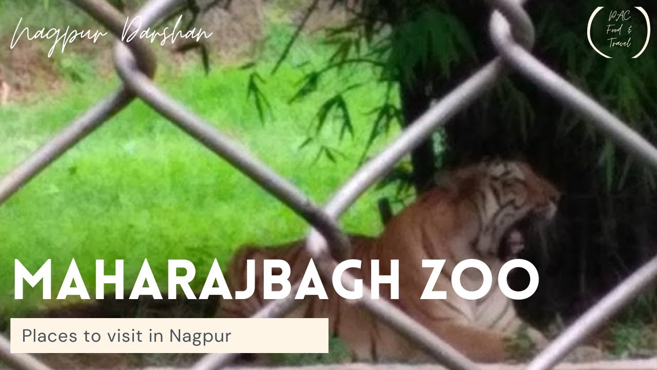 Maharaj Bagh Zoo & Garden Nagpur Entrance | Places to visit in Nagpur | Nagpur Darshan - YouTube