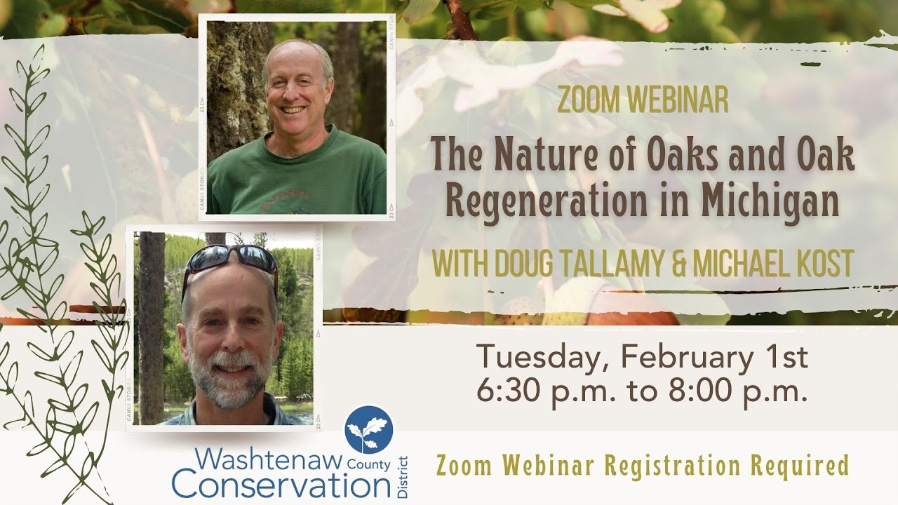 The Nature of Oaks & Oak Regeneration in Michigan with Doug Tallamy and Mike Kost