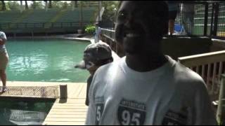 Dolphins Make a Splash With Blind Students