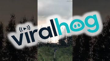 Spotting a Tornado Form Through Tree Line || ViralHog