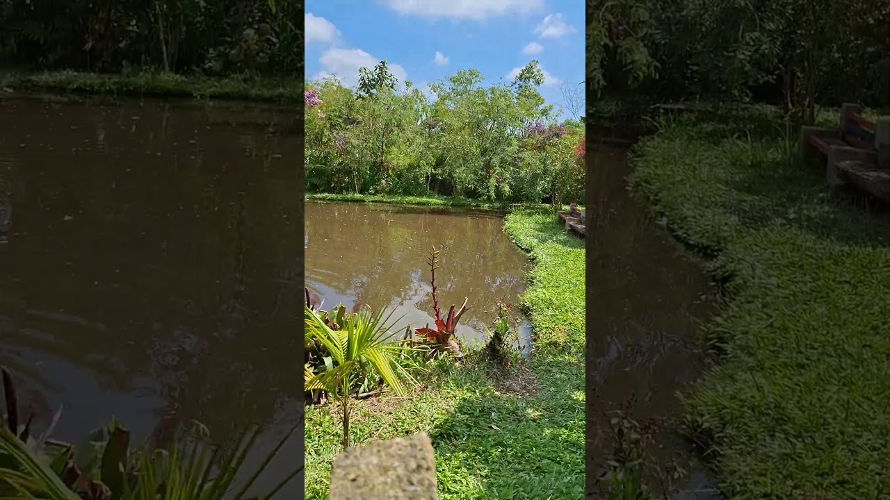 OLHA ESSA NATUREZA LINDA!