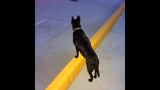 From Photographs, From Taiwan and Japan' Slideshow - Su Hou Wen's Works