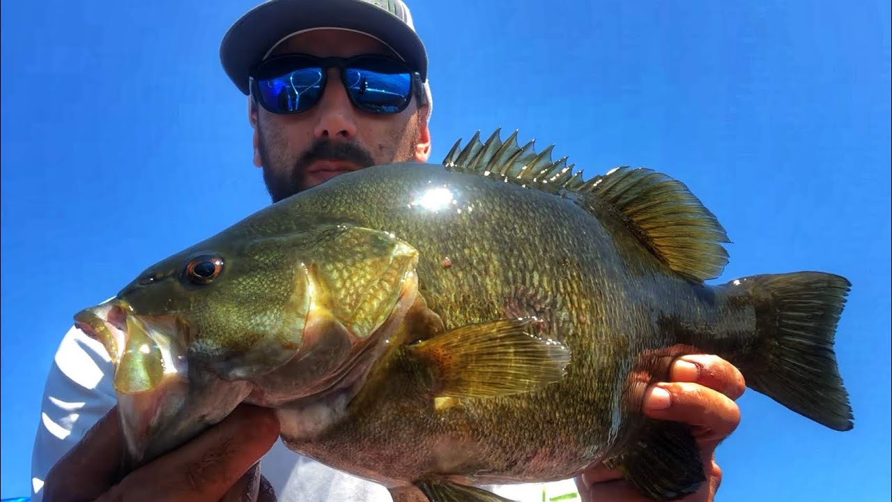 Late Summer Smallmouth on Lake St. Clair
