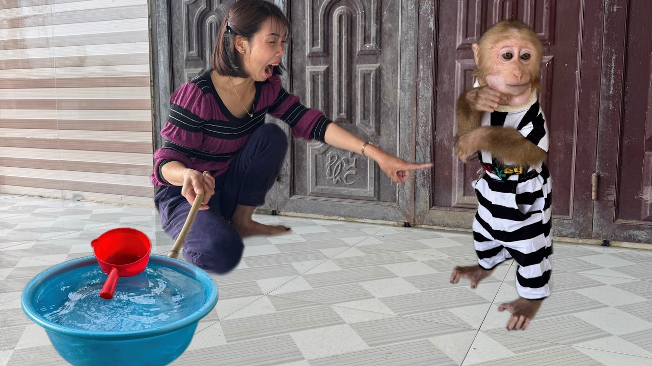 Mom Struggles Turn Funny as Baby Monkey Refuses to Bathe