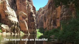 Clear creek begins at the reservoir, located mchood park (free
camping) near winslow, arizona. it starts a not so pretty place and
ends in ...