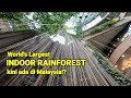 MALAYSIA'S OWN WORLD'S LARGEST INDOOR RAINFOREST | One UTAMA PJ  [4K]