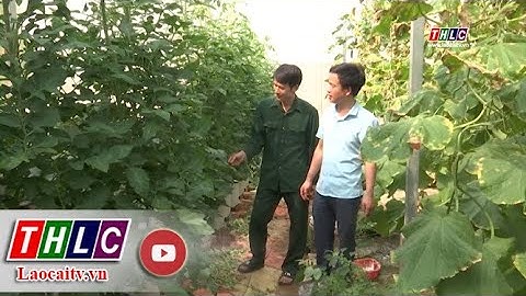 Phát triển nông nghiệp công nghệ cao gắn với xây dựng nông thôn mới nâng cao | THLC