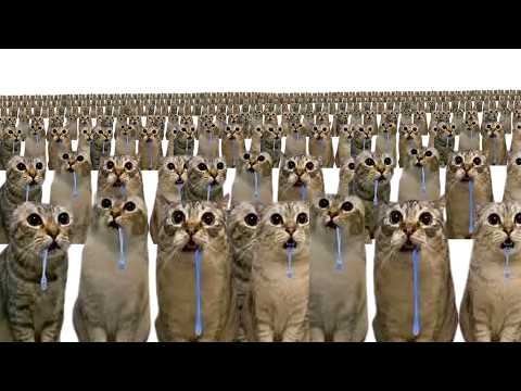 Drooling Cats x1000000000