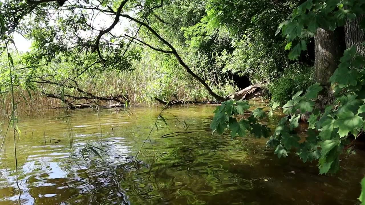Jeziorak - jak się tam żegluje .:)