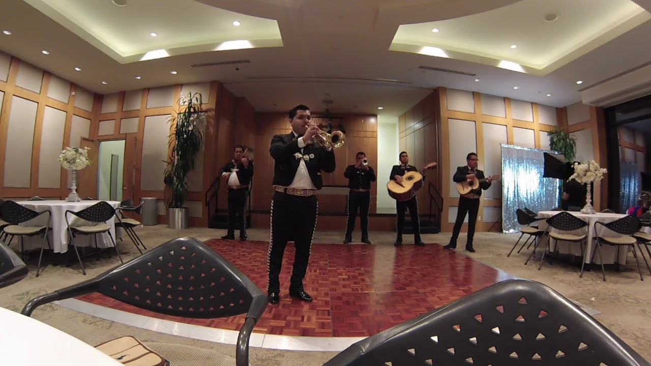 Mariachis Near Me Exploring the Authentic Sound of Mexico