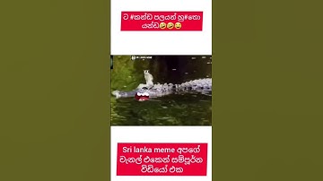 අම්මට හු#න්න හු#තෝ 😂😂🤣🤣 | saththu athale |sinhaa meme| saththu meme sinhala #srilankameme #viralvide
