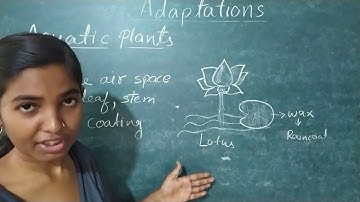 Adaption, class-5, science , chapter-8, part-1