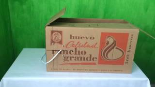 Cómo Hacer Una Incubadora Casera