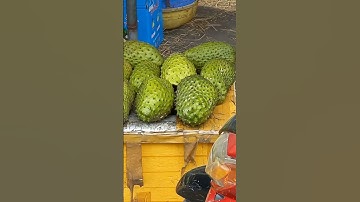 Mãng cầu Xiêm trị bệnh ung thư, Tân Phú Đông, TG 😍😋 #shorts