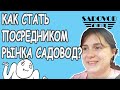 Кто такие посредники рынка Садовод и как стать посредником? | Маша Копытина [sadovodopt]