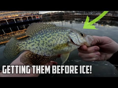 The SLAB Crappie Are Starting To Show Up in December! 