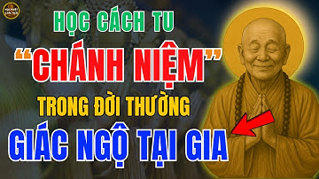 LỤC TỔ HUỆ NĂNG Dạy – Thực Hành Chánh Niệm Giữa Đời Thường, Biến Mọi Việc Thành Con Đường Giác Ngộ