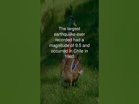 What the largest earthquake ever recorded in california
