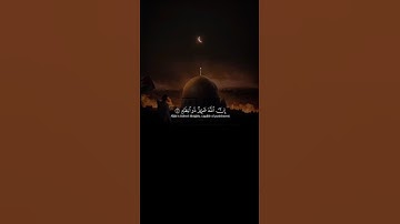 اكتب شيء تؤجر عليه 😴💚 / القارئ عبد الرحمن مسعد | قران كريم