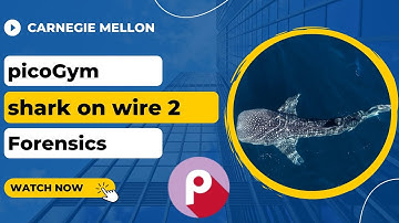 picoGym (picoCTF) Exercise: shark on wire 2