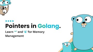Pointers in Golang | 2024: 💽 Master Memory Management